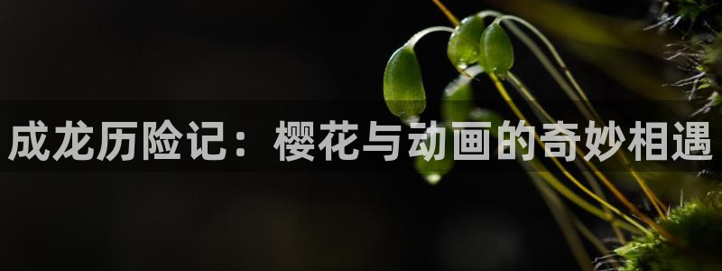 囧次元网页版在线
