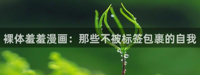 囧次元动漫