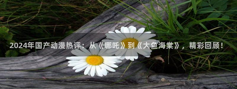 囧次元正版入口