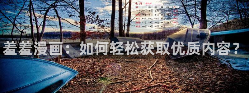 囧次元ios网页版