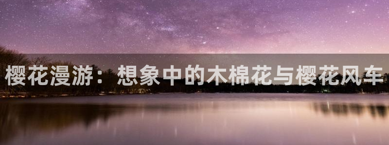 囧次元网页版入口：樱花漫游：想象中的木棉花与樱花风车