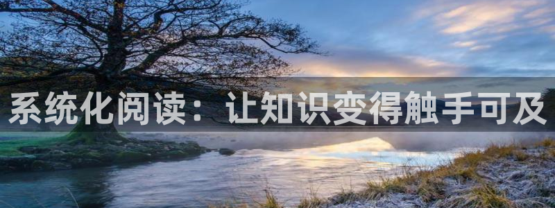 囧次元在线官网入口：系统化阅读：让知识变得触手可及