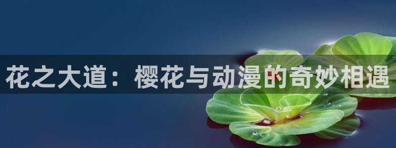 囧次元app官方下载