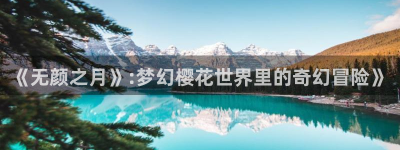 囧次元官方下载入口