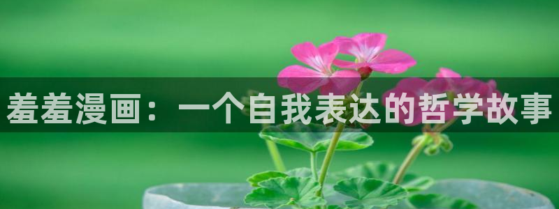 囧次元纯净版正版官网入口