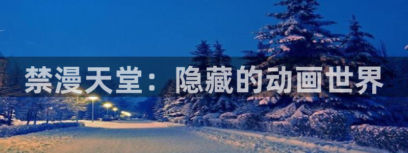 囧次元动漫app正版