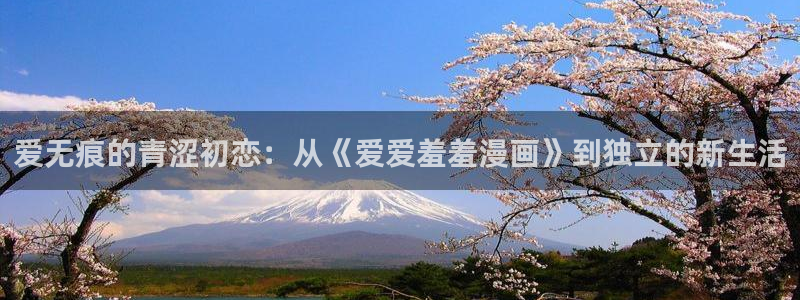 囧次元最新版下载