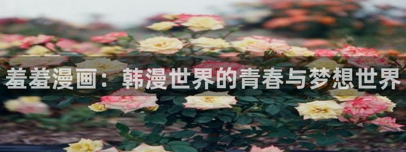 囧次元正版网