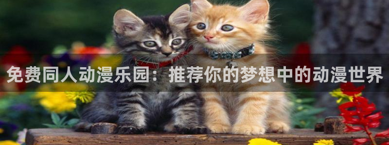囧次元网页版在线：免费同人动漫乐园：推荐你的梦想中的动漫世界