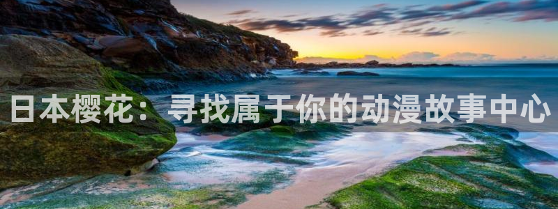 囧次元官方正版官网入口：日本樱花：寻找属于你的动漫故事中心