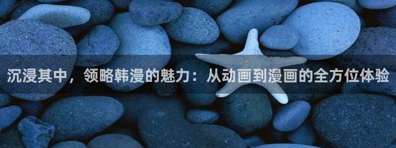 囧次元app下载官网：沉浸其中，领略韩漫的魅力：从动画到漫画的全方位体验