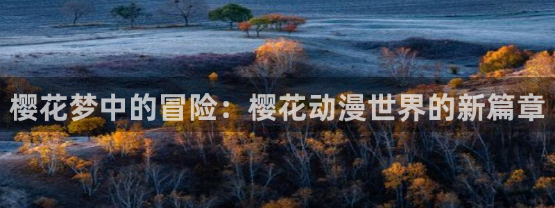 囧次元：樱花梦中的冒险：樱花动漫世界的新篇章