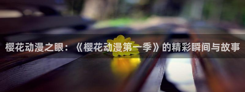 jcy.囧次元官网：樱花动漫之眼：《樱花动漫第一季》的精彩瞬间与故事