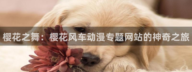 囧次元入口：樱花之舞：樱花风车动漫专题网站的神奇之旅