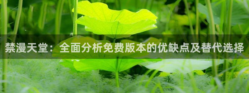 囧次元下载网站：禁漫天堂：全面分析免费版本的优缺点及替代选择