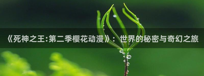 囧次元囧次元：《死神之王:第二季樱花动漫》：世界的秘密与奇幻之旅