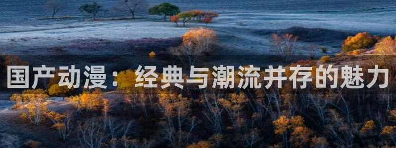 囧次元下载正版官网