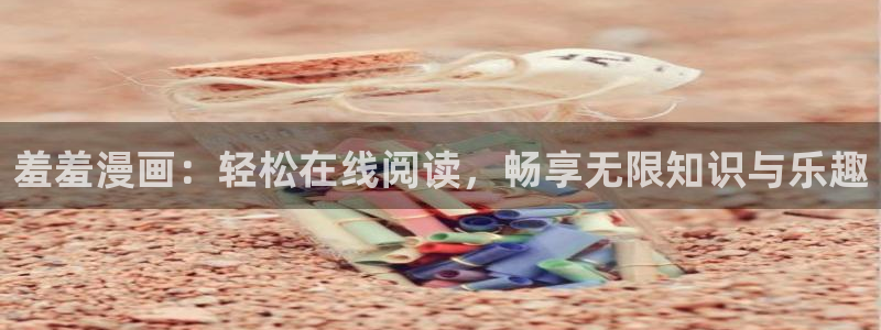 囧次元软件