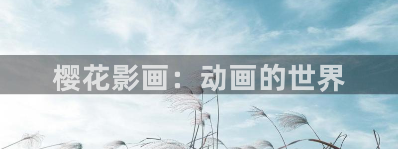 囧次元app最新版本