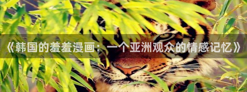 囧次元免费下载