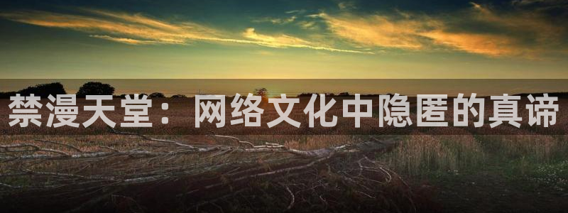 囧次元网页官网