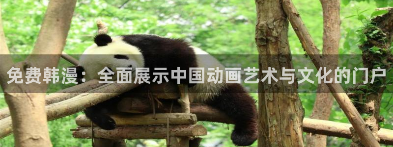 囧次元官网