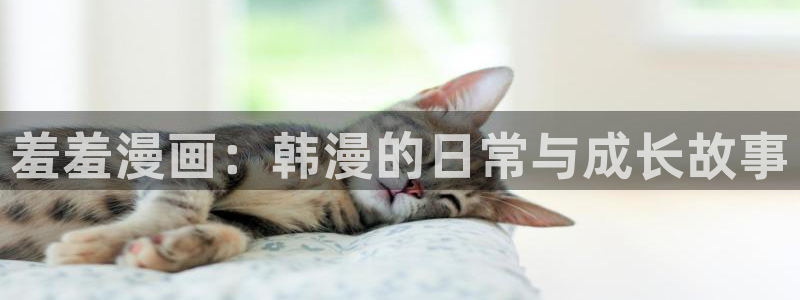 囧次元官方网站网址