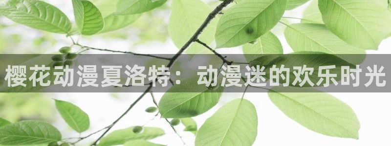 囧次元官方官网：樱花动漫夏洛特：动漫迷的欢乐时光
