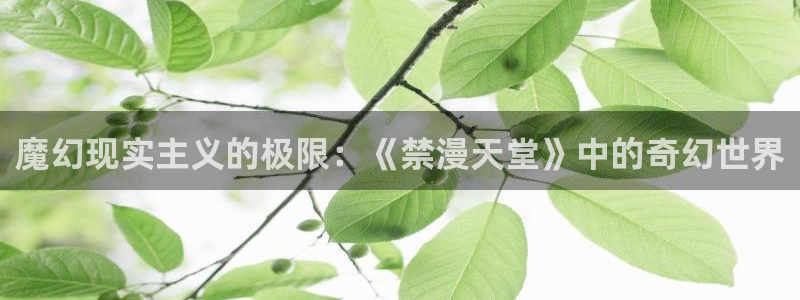 囧次元官网樱花动漫：魔幻现实主义的极限：《禁漫天堂》中的奇幻世界