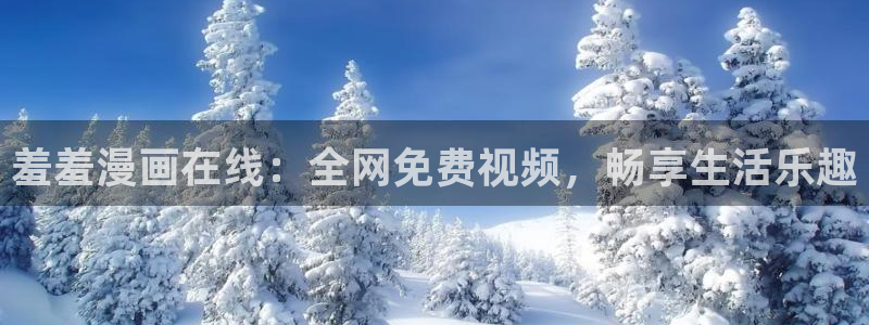 囧次元正版官网