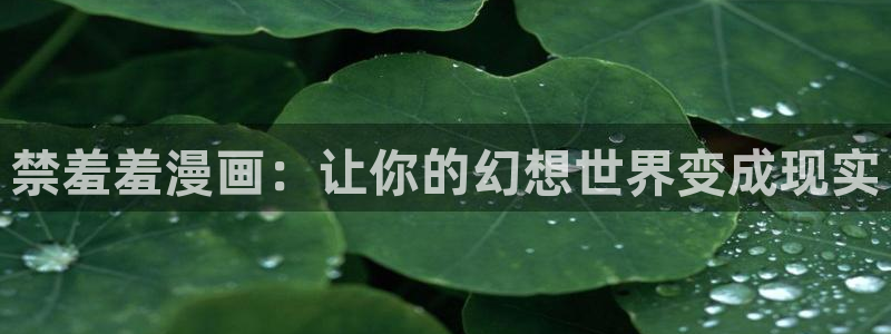 囧次元tv版