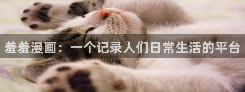 囧次元app官网入口